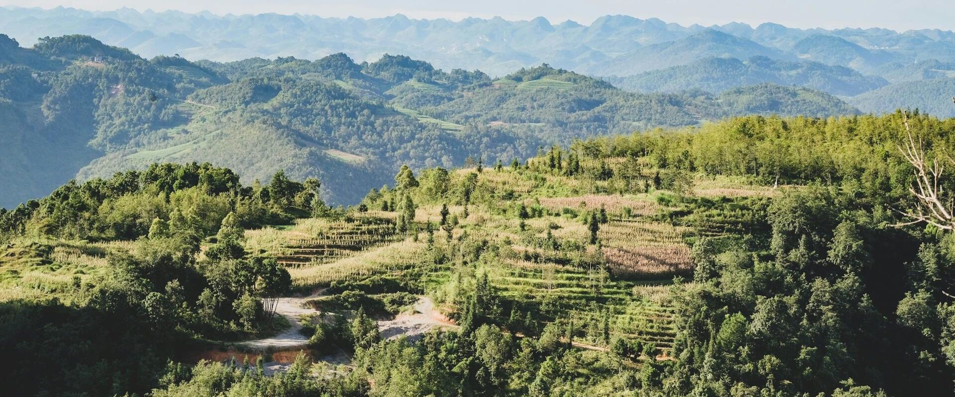 Pristine Cardamom Mountains rainforest in Cambodia on a scenic Cardamom Travel banner by Legend Travel Group.